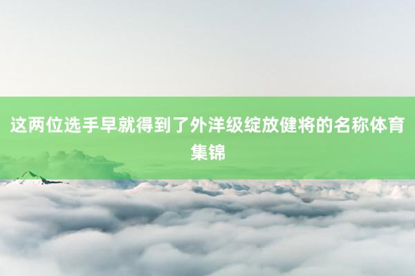 这两位选手早就得到了外洋级绽放健将的名称体育集锦