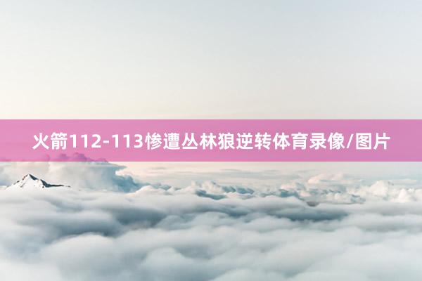 火箭112-113惨遭丛林狼逆转体育录像/图片