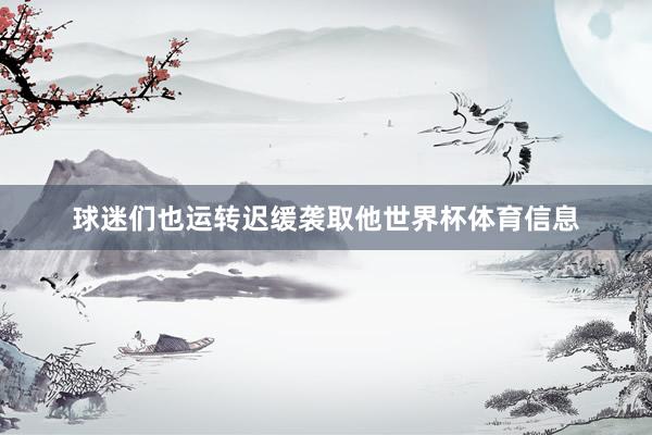 球迷们也运转迟缓袭取他世界杯体育信息