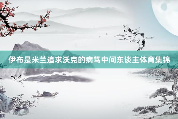 伊布是米兰追求沃克的病笃中间东谈主体育集锦