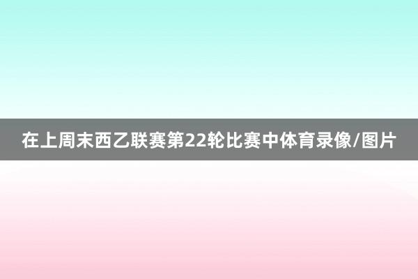 在上周末西乙联赛第22轮比赛中体育录像/图片