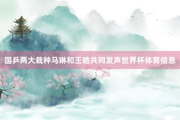 国乒两大栽种马琳和王皓共同发声世界杯体育信息