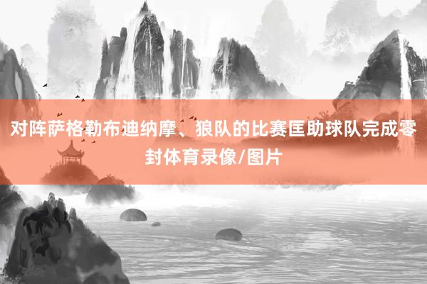 对阵萨格勒布迪纳摩、狼队的比赛匡助球队完成零封体育录像/图片