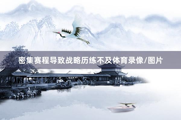 密集赛程导致战略历练不及体育录像/图片