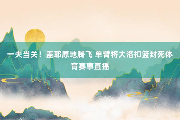 一夫当关！盖耶原地腾飞 单臂将大洛扣篮封死体育赛事直播