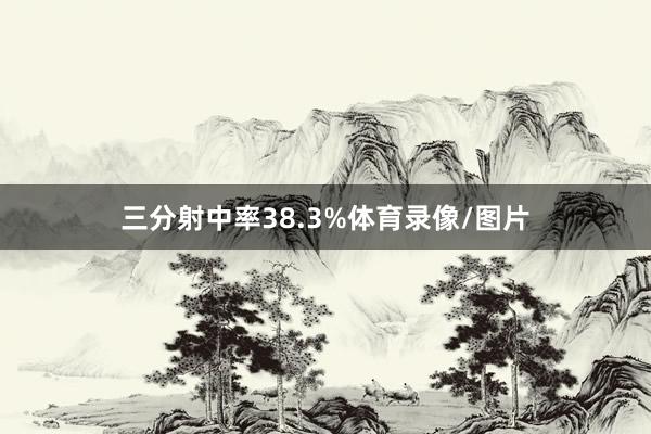 三分射中率38.3%体育录像/图片