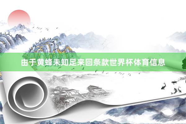 由于黄蜂未知足来回条款世界杯体育信息