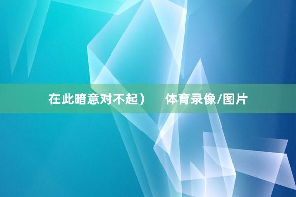 在此暗意对不起）    体育录像/图片