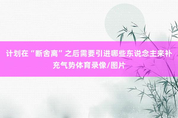 计划在“断舍离”之后需要引进哪些东说念主来补充气势体育录像/图片