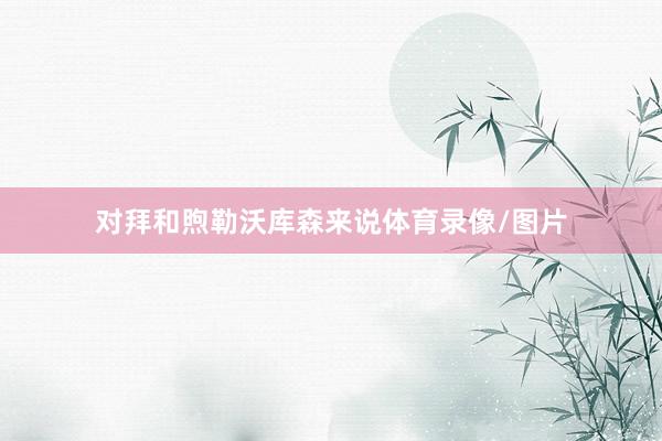 对拜和煦勒沃库森来说体育录像/图片