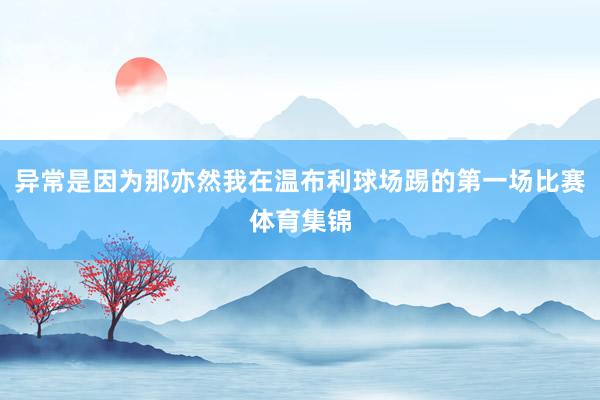 异常是因为那亦然我在温布利球场踢的第一场比赛体育集锦