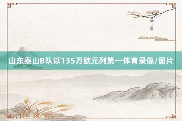 山东泰山B队以135万欧元列第一体育录像/图片