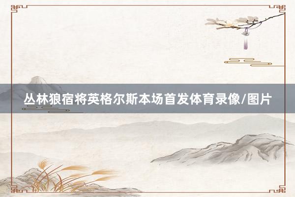丛林狼宿将英格尔斯本场首发体育录像/图片