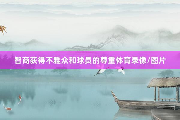 智商获得不雅众和球员的尊重体育录像/图片