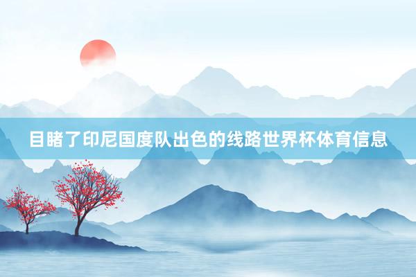 目睹了印尼国度队出色的线路世界杯体育信息