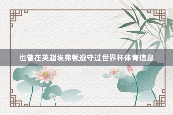 也曾在英超埃弗顿遵守过世界杯体育信息
