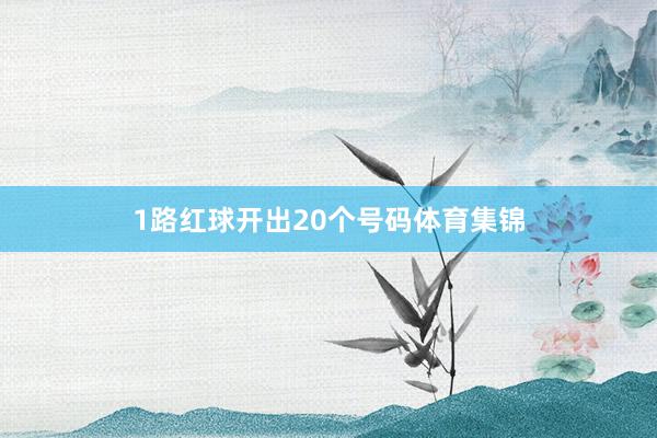 1路红球开出20个号码体育集锦