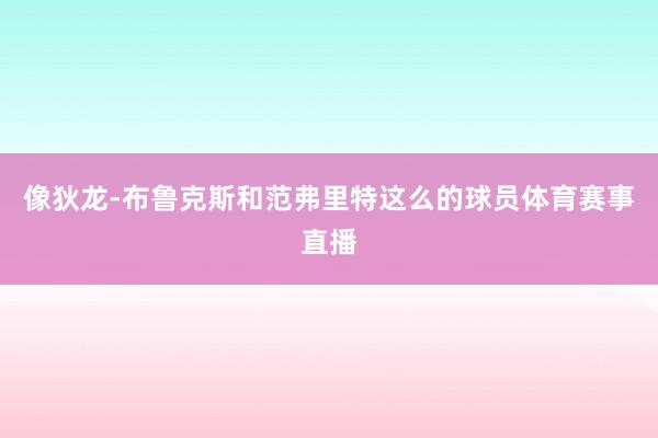 像狄龙-布鲁克斯和范弗里特这么的球员体育赛事直播