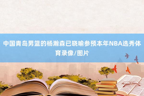 中国青岛男篮的杨瀚森已晓喻参预本年NBA选秀体育录像/图片