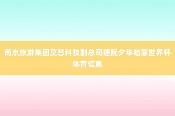 南京旅游集团莫愁科技副总司理阮夕华暗意世界杯体育信息