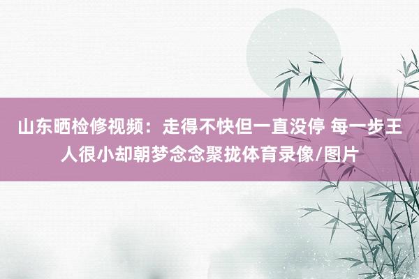 山东晒检修视频：走得不快但一直没停 每一步王人很小却朝梦念念聚拢体育录像/图片