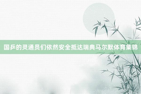 国乒的灵通员们依然安全抵达瑞典马尔默体育集锦