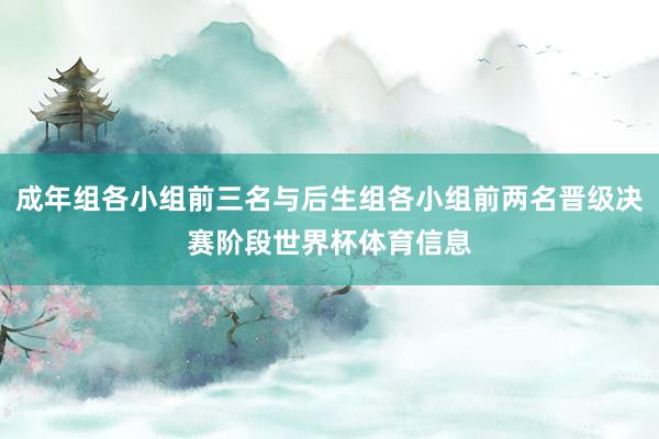 成年组各小组前三名与后生组各小组前两名晋级决赛阶段世界杯体育信息