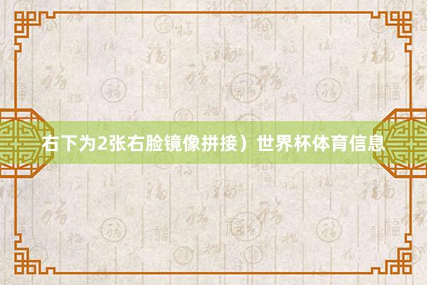 右下为2张右脸镜像拼接）世界杯体育信息