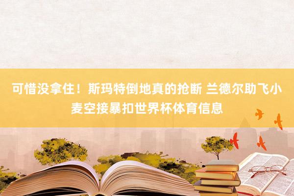 可惜没拿住！斯玛特倒地真的抢断 兰德尔助飞小麦空接暴扣世界杯体育信息