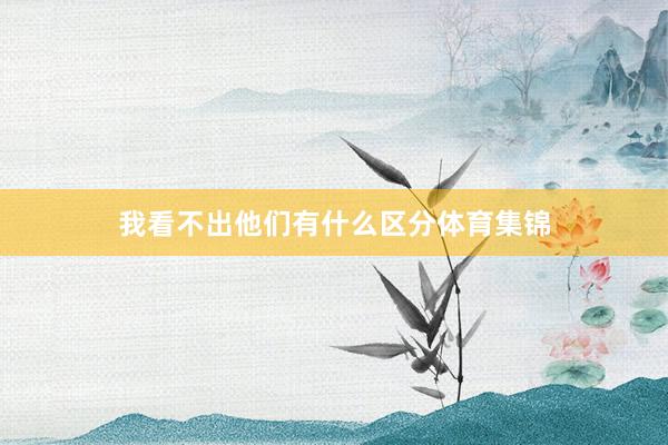 我看不出他们有什么区分体育集锦