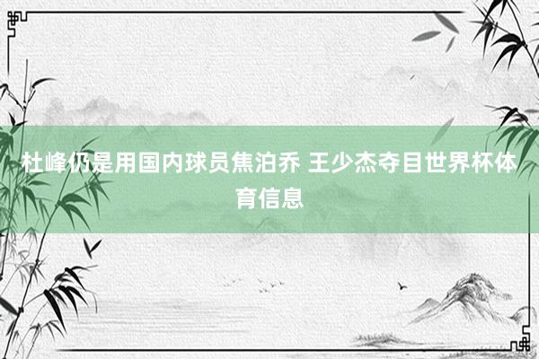 杜峰仍是用国内球员焦泊乔 王少杰夺目世界杯体育信息
