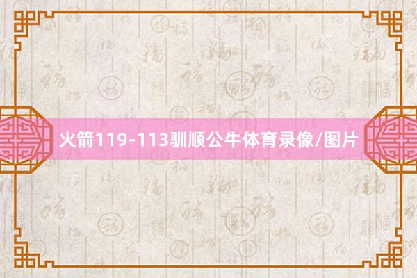 火箭119-113驯顺公牛体育录像/图片