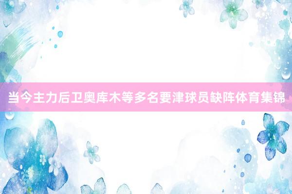 当今主力后卫奥库木等多名要津球员缺阵体育集锦