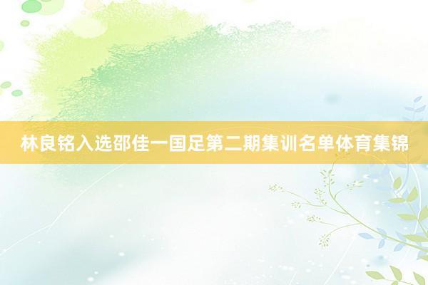 林良铭入选邵佳一国足第二期集训名单体育集锦