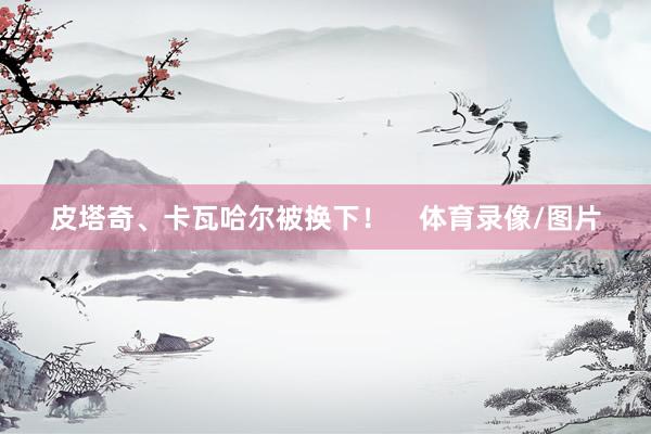 皮塔奇、卡瓦哈尔被换下！    体育录像/图片