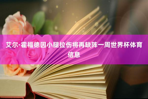 艾尔·霍福德因小腿拉伤将再缺阵一周世界杯体育信息