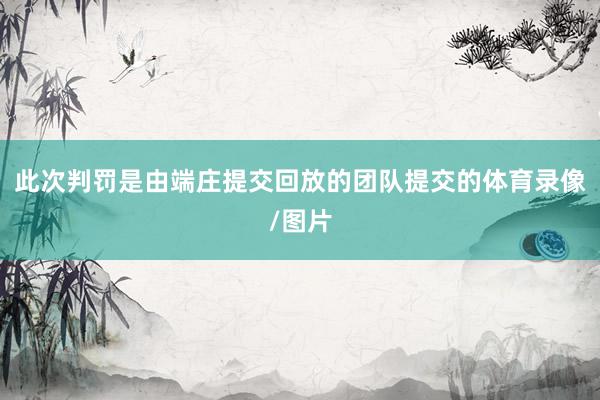 此次判罚是由端庄提交回放的团队提交的体育录像/图片