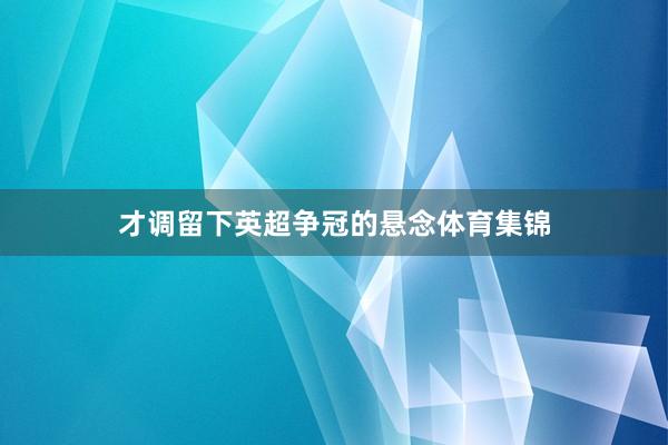 才调留下英超争冠的悬念体育集锦