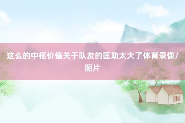 这么的中枢价值关于队友的匡助太大了体育录像/图片