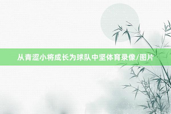 从青涩小将成长为球队中坚体育录像/图片