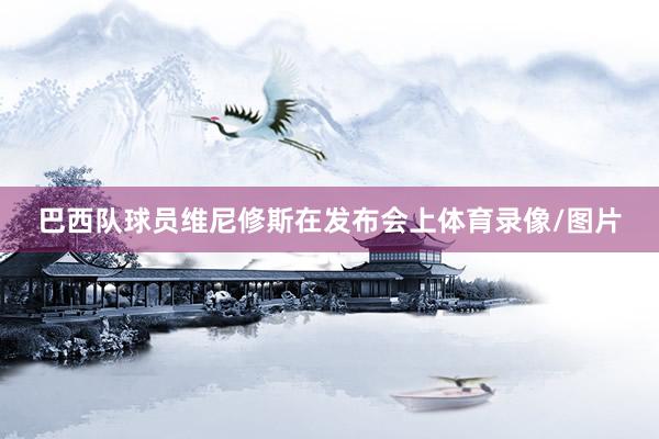 巴西队球员维尼修斯在发布会上体育录像/图片